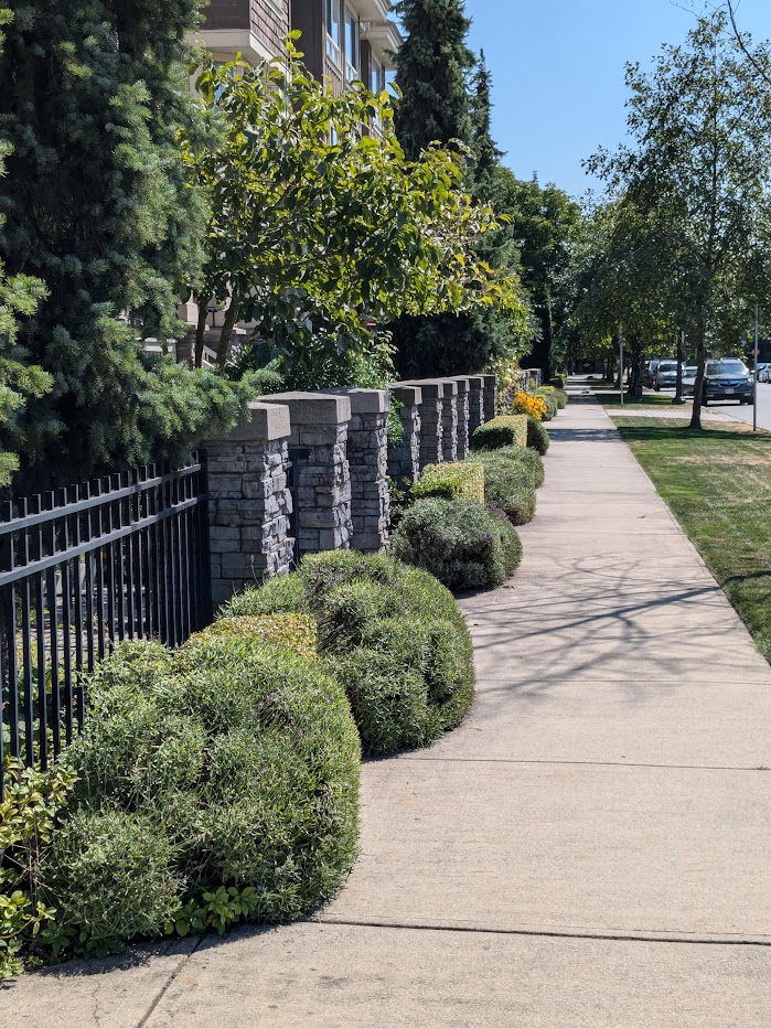 Pathway or sidewalk view