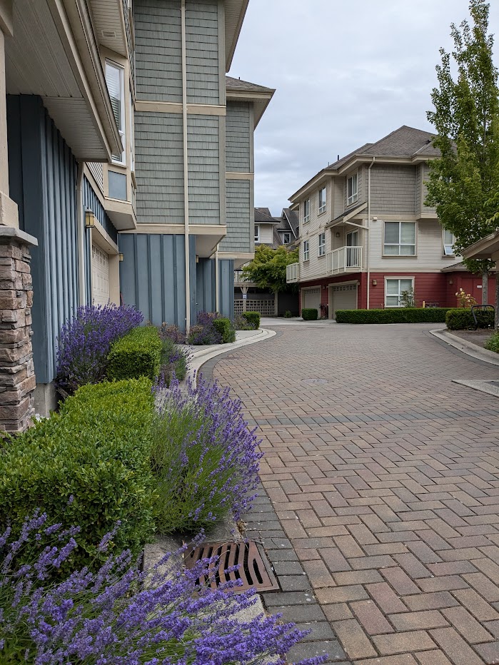 House exterior with landscaping